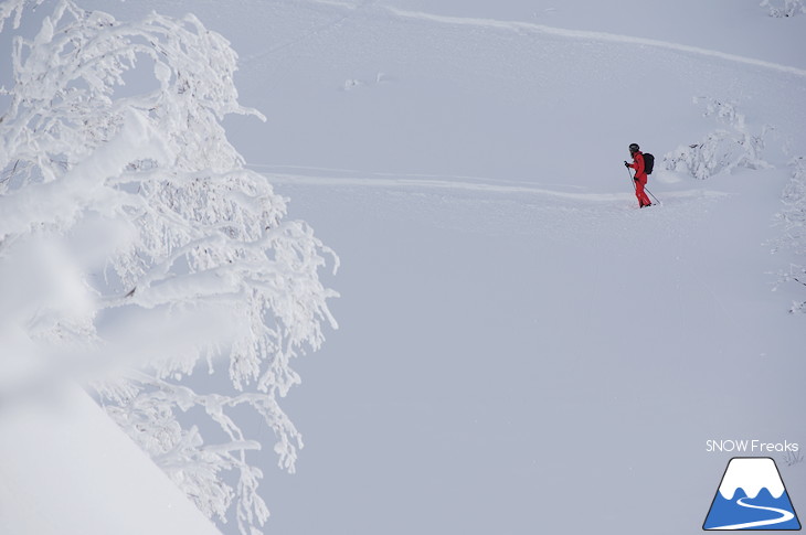 児玉毅×山木匡浩 b.c.map POWDER HUNTING in NISEKO 2018！